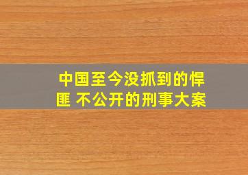 中国至今没抓到的悍匪 不公开的刑事大案